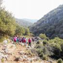 Camps d’automne 2018 : Découverte de la montagne et écotourisme à Karies Lakonias