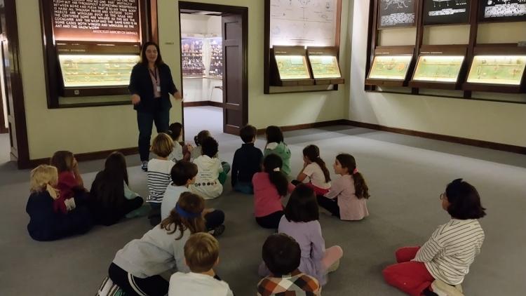 Les CE1 au musée d’Histoire naturelle Goulandris !